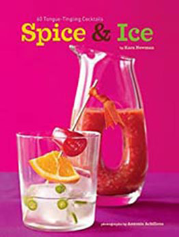 Spice & Ice by Kara Newman [PDF:B007XHPO2C ]