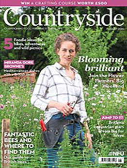 Countryside [August 2021, Format: PDF]