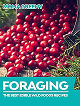 Foraging by Mona Greeny [PDF: B08HN7SW4F]