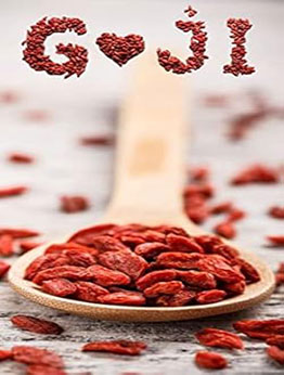 THE ULTIMATE ORGANIC GOJI BERRY COOKBOOK by GILBERT C.A