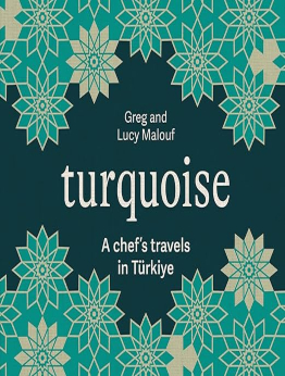 Turquoise by Greg Malouf